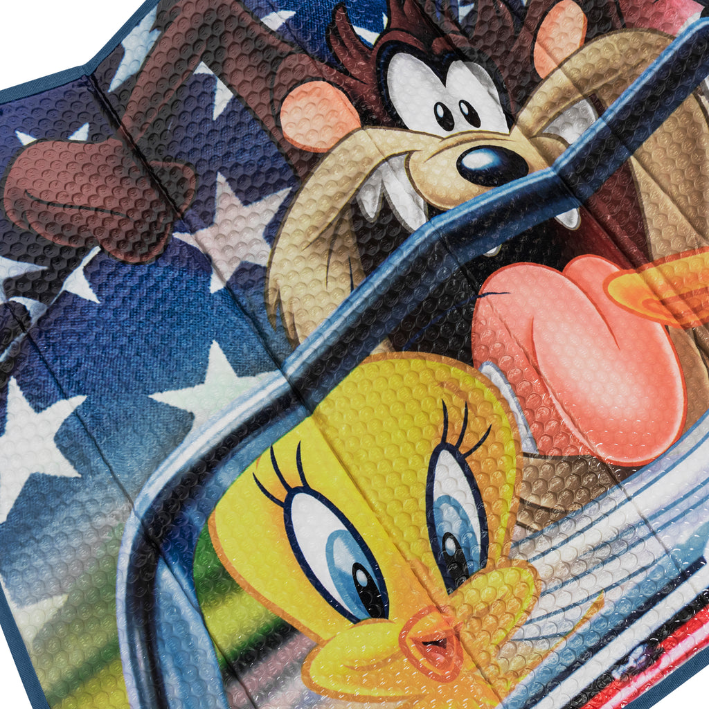 Warner Bros Looney Tunes Adventure Sunshade (58" x 28")